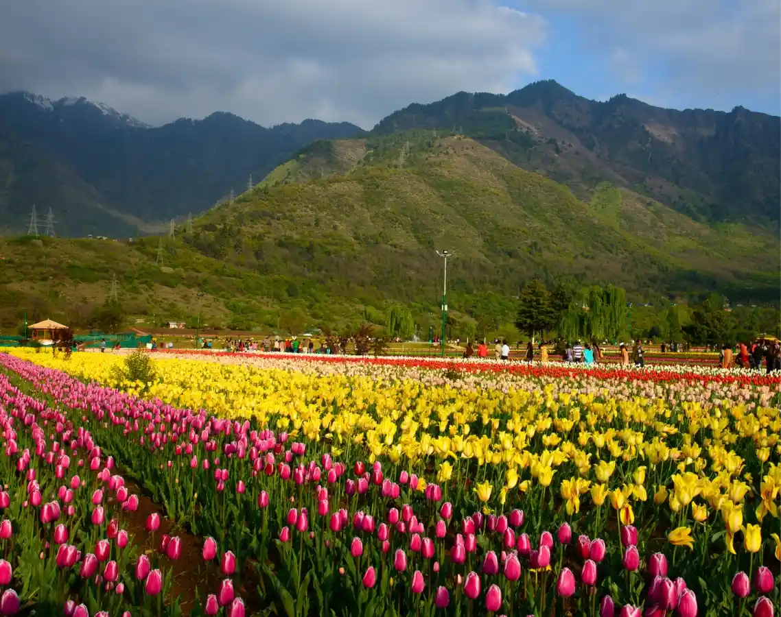 Kashmir Deluxe 6 Nights 2026 -27